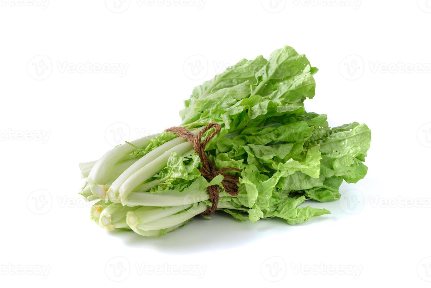 fresh Chinese Cabbage isolated on white background photo