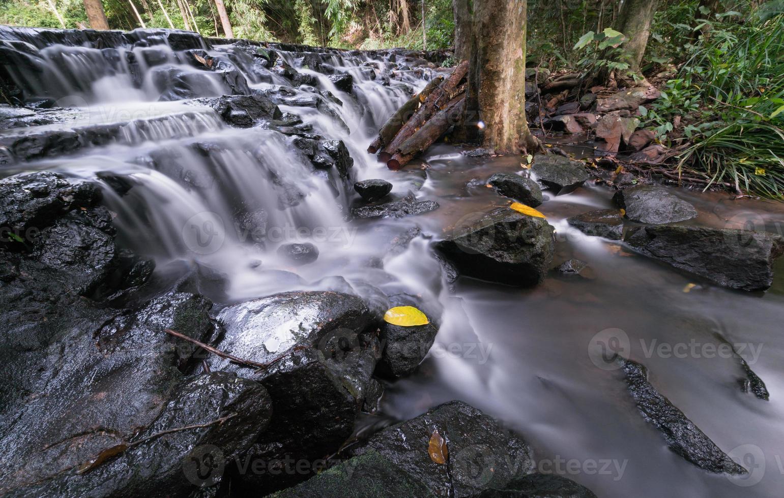 hermosa cascada en el hojas perennes bosque, foto