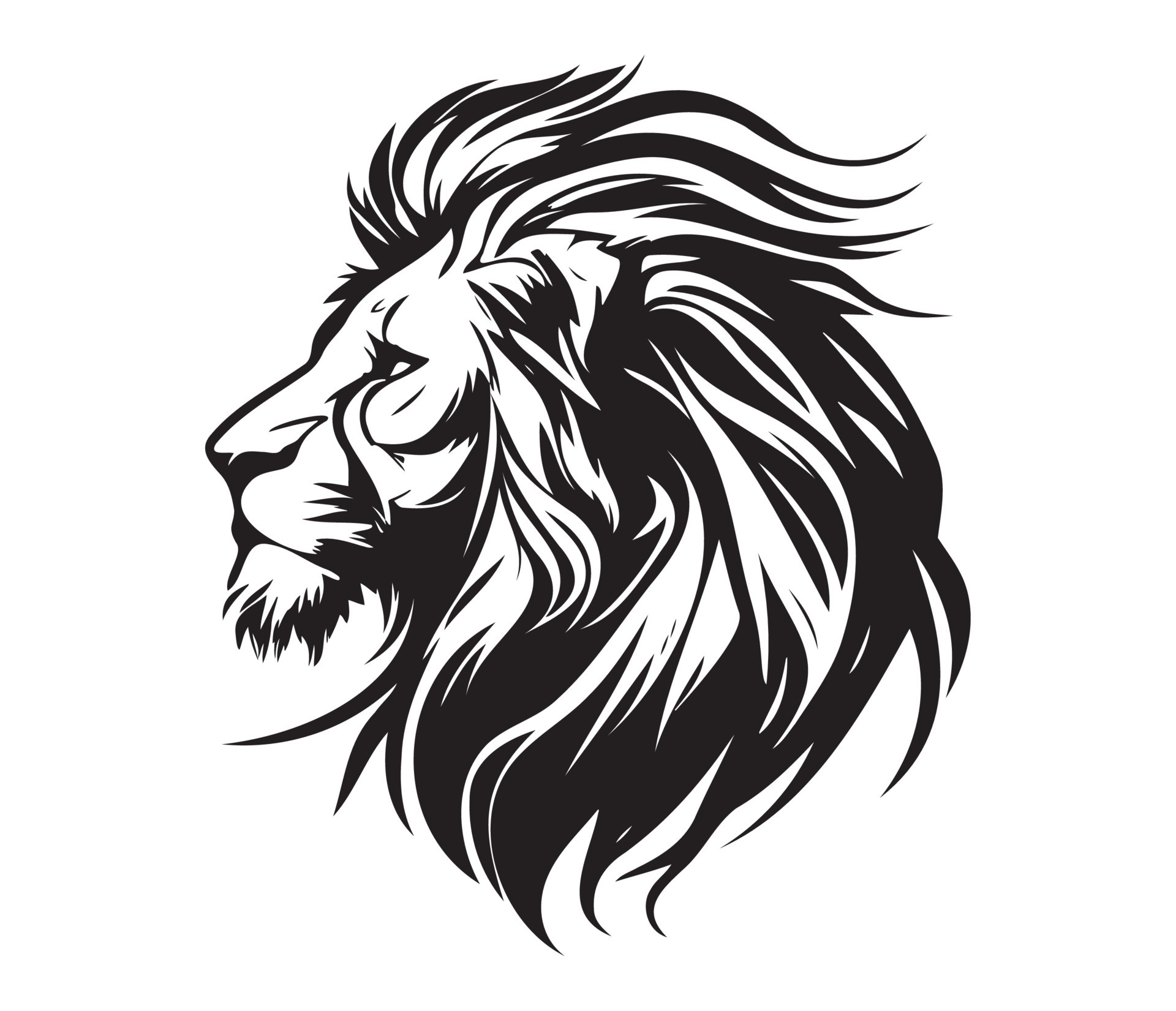 Black And White Lion Head Side View
