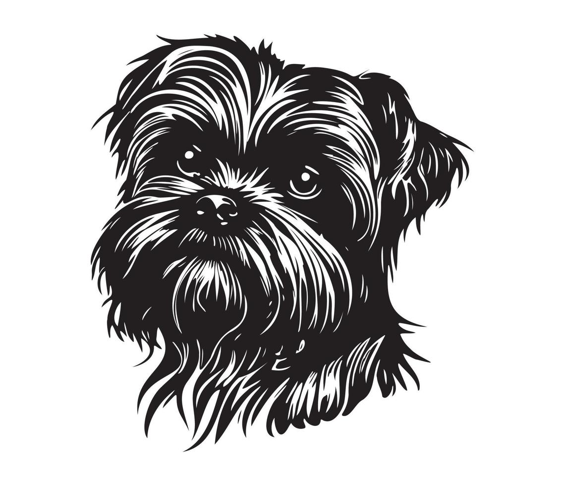 Affenpinscher Face, Silhouettes Dog Face, black and white Affenpinscher vector