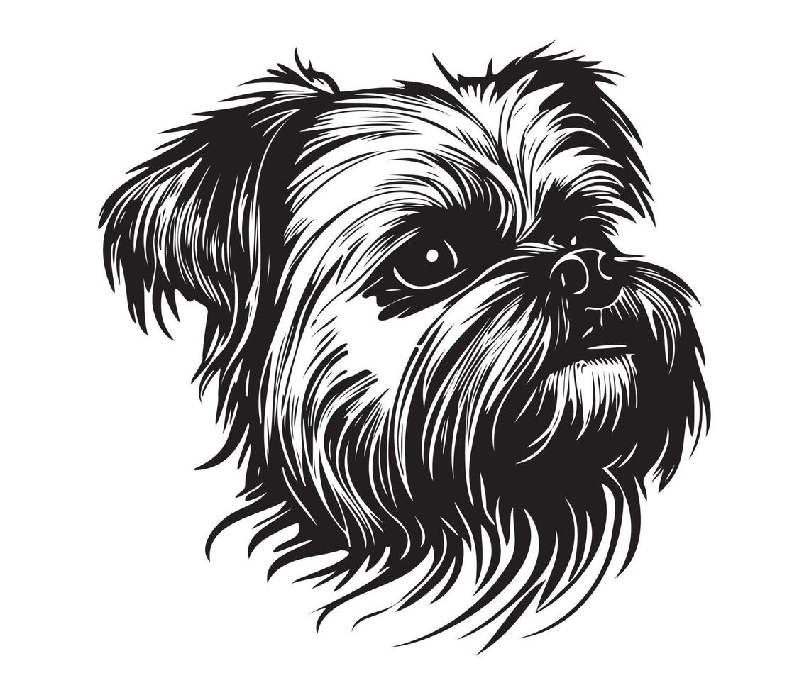 Affenpinscher Face, Silhouettes Dog Face, black and white Affenpinscher vector