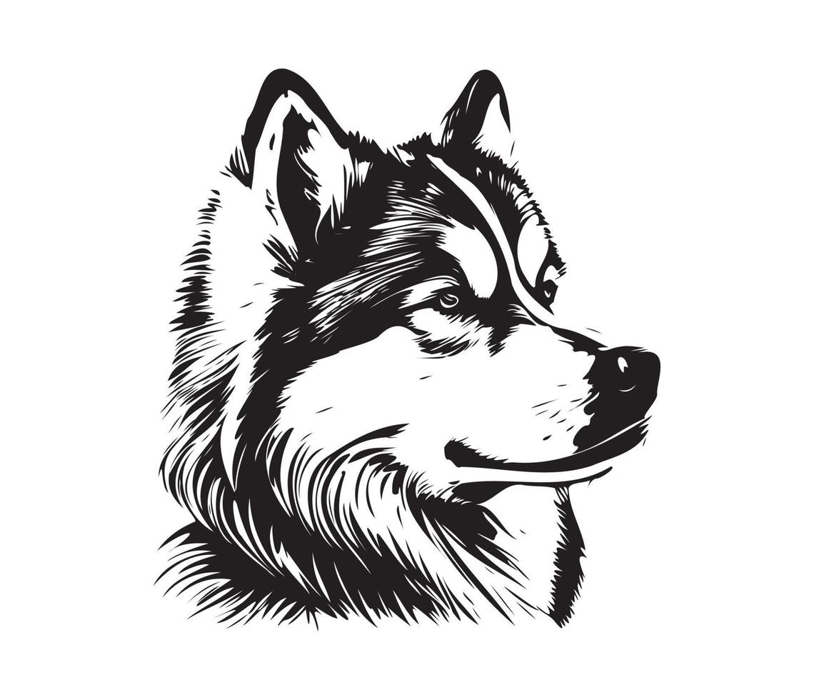 Alaskan Malamute Face, Silhouettes Dog Face, black and white Alaskan Malamute vector