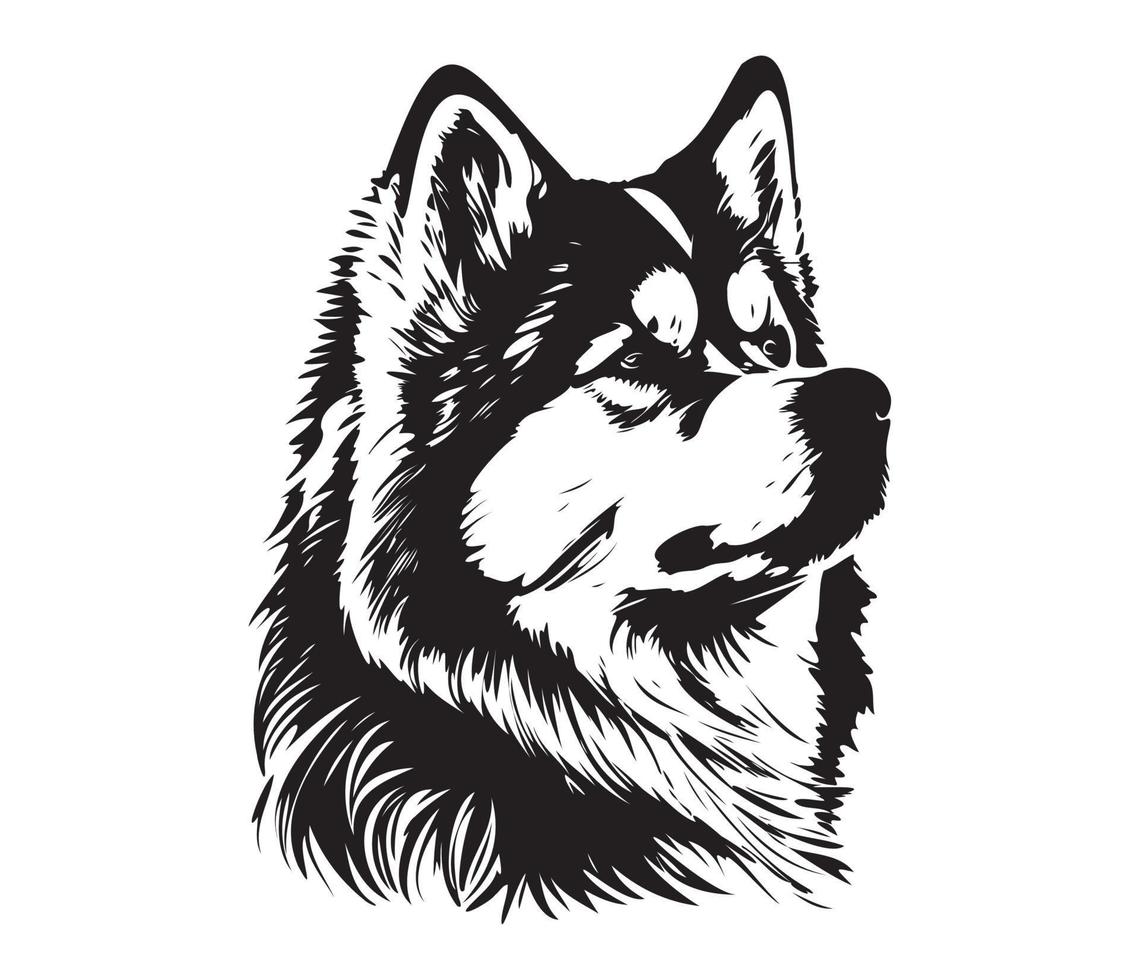 Alaskan Malamute Face, Silhouettes Dog Face, black and white Alaskan Malamute vector