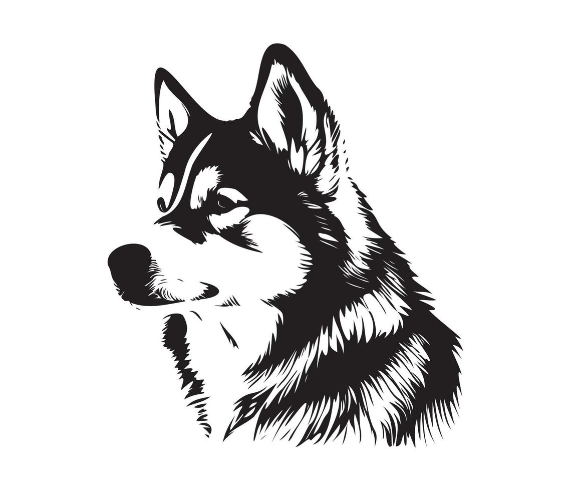 Alaskan Malamute Face, Silhouettes Dog Face, black and white Alaskan Malamute vector