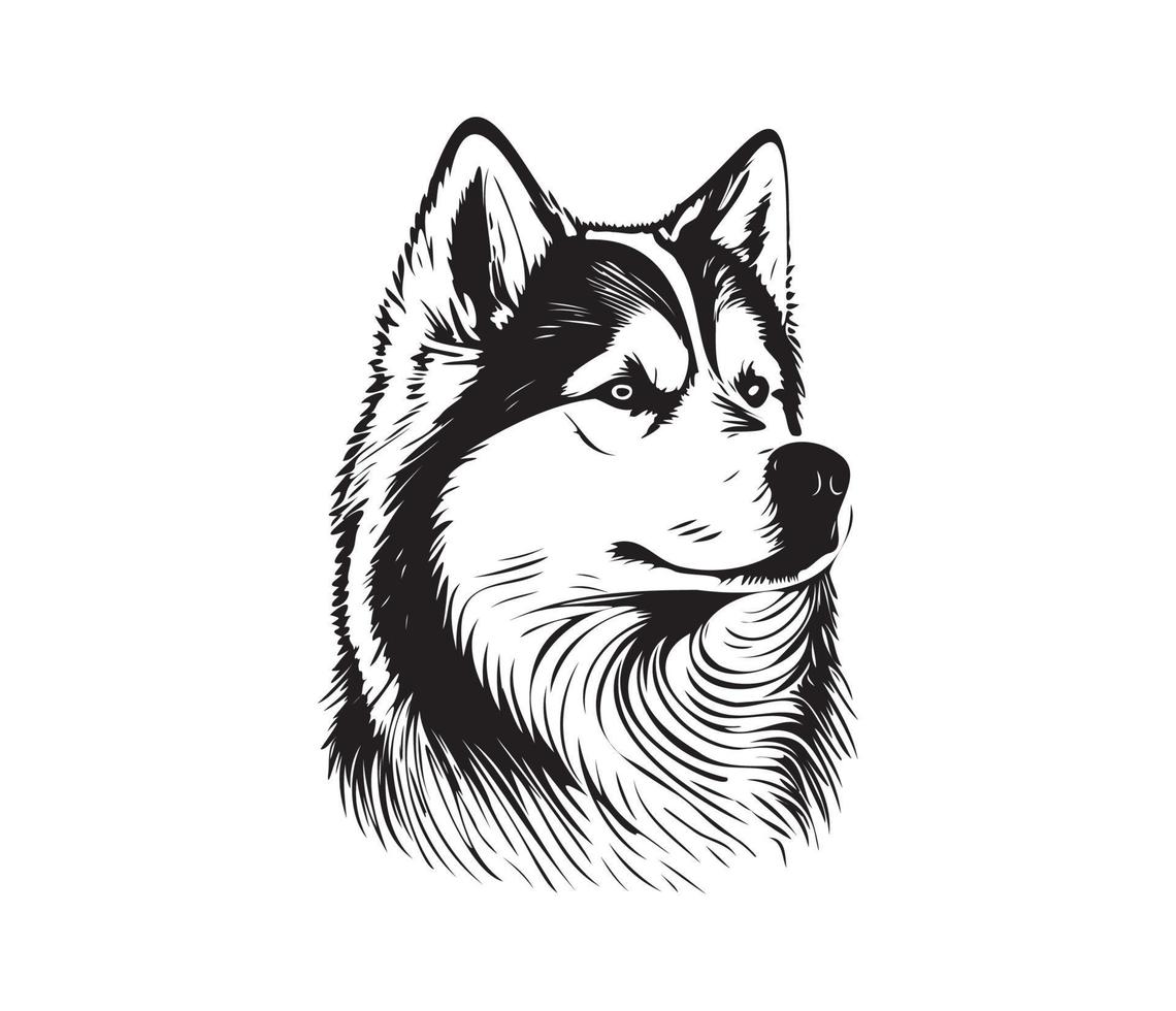 Alaskan Malamute Face, Silhouettes Dog Face, black and white Alaskan Malamute vector