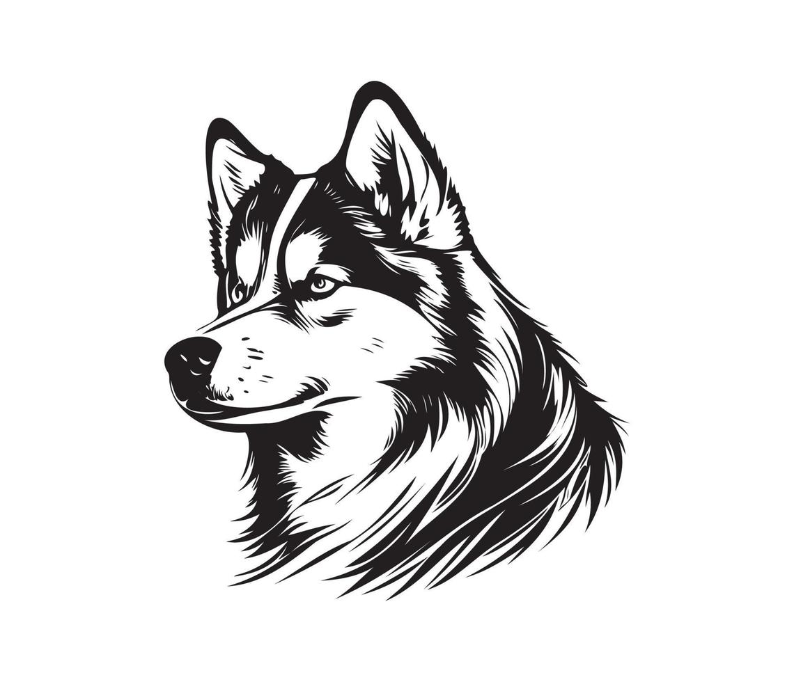 Alaskan Malamute Face, Silhouettes Dog Face, black and white Alaskan Malamute vector