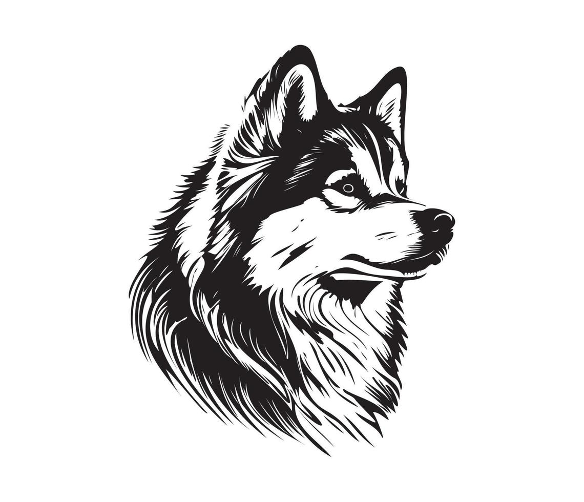 Alaska malamute rostro, siluetas perro rostro, negro y blanco Alaska malamute vector