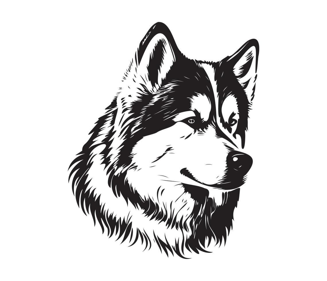 Alaskan Malamute Face, Silhouettes Dog Face, black and white Alaskan Malamute vector