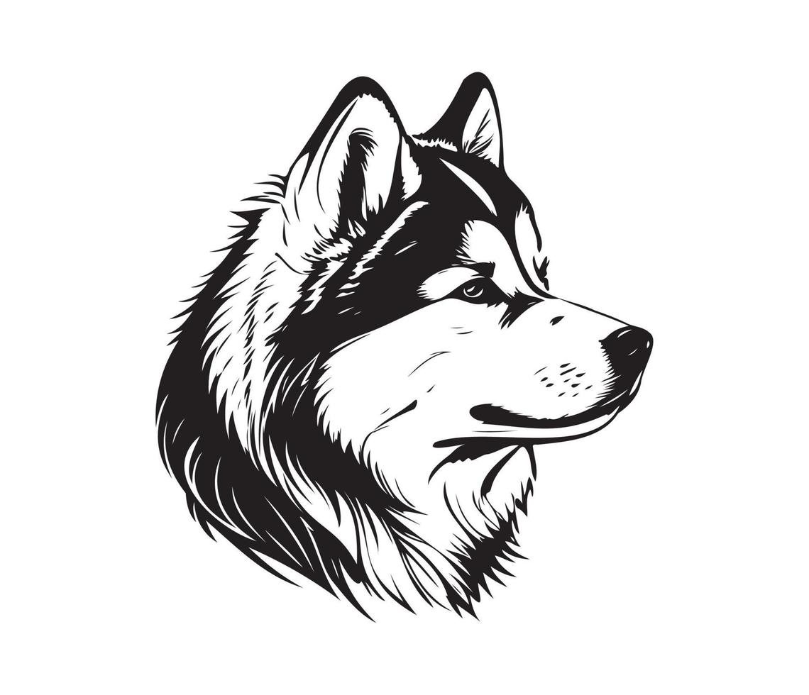 Alaskan Malamute Face, Silhouettes Dog Face, black and white Alaskan Malamute vector