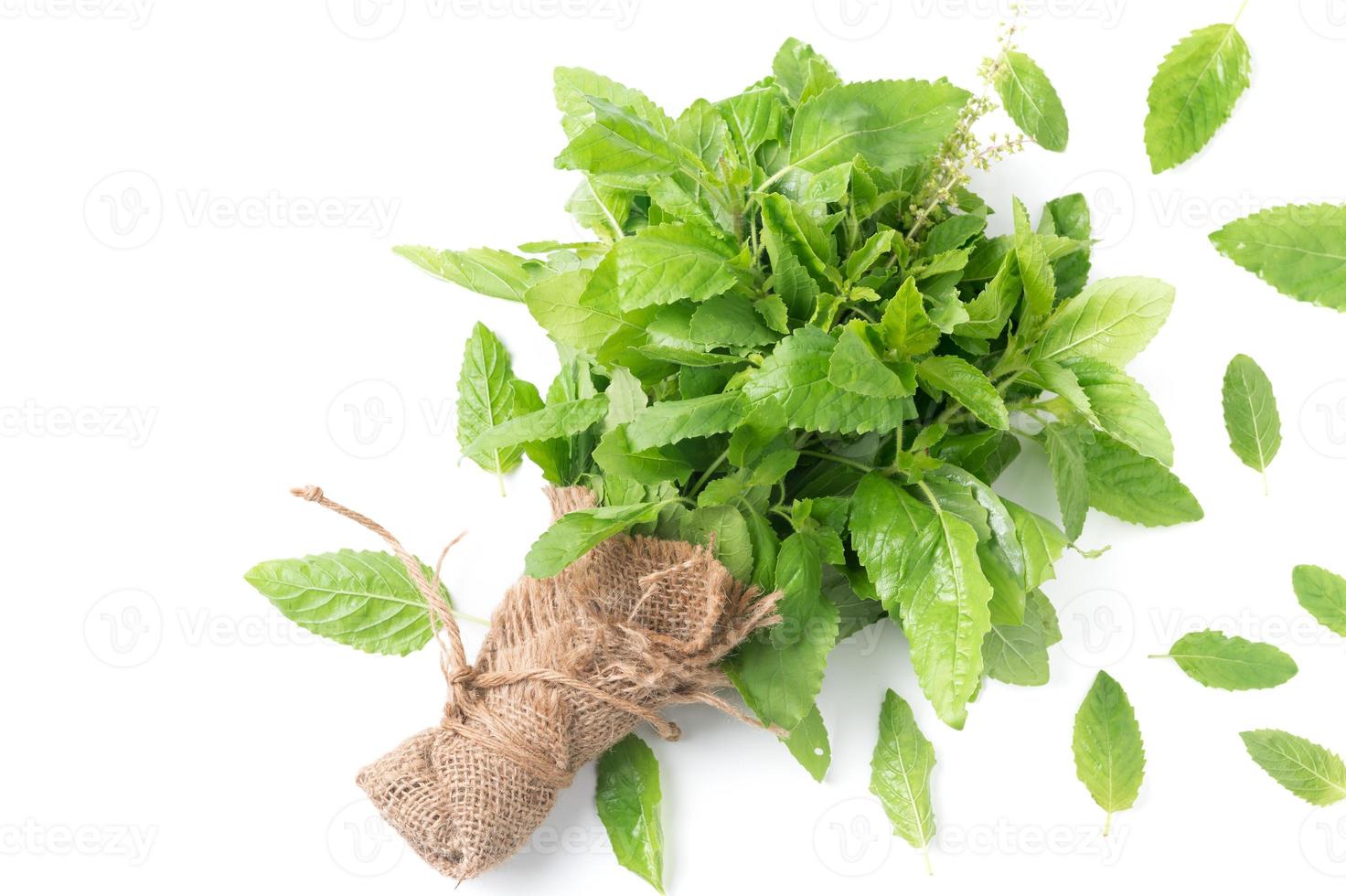 fresh Holy basil leaf isolated on white background 22923973 Stock Photo at Vecteezy