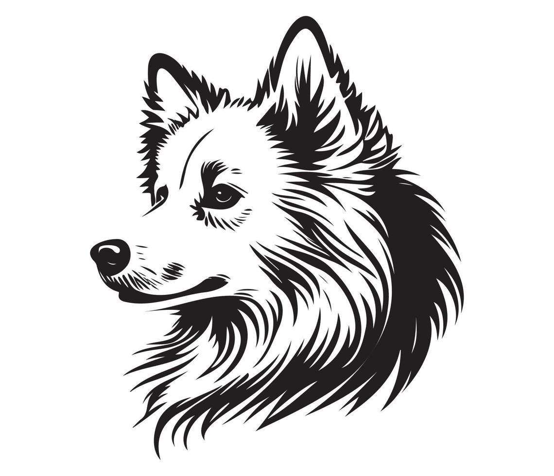 American Eskimo Dog Face, Silhouettes Dog Face, black and white American Eskimo Dog vector