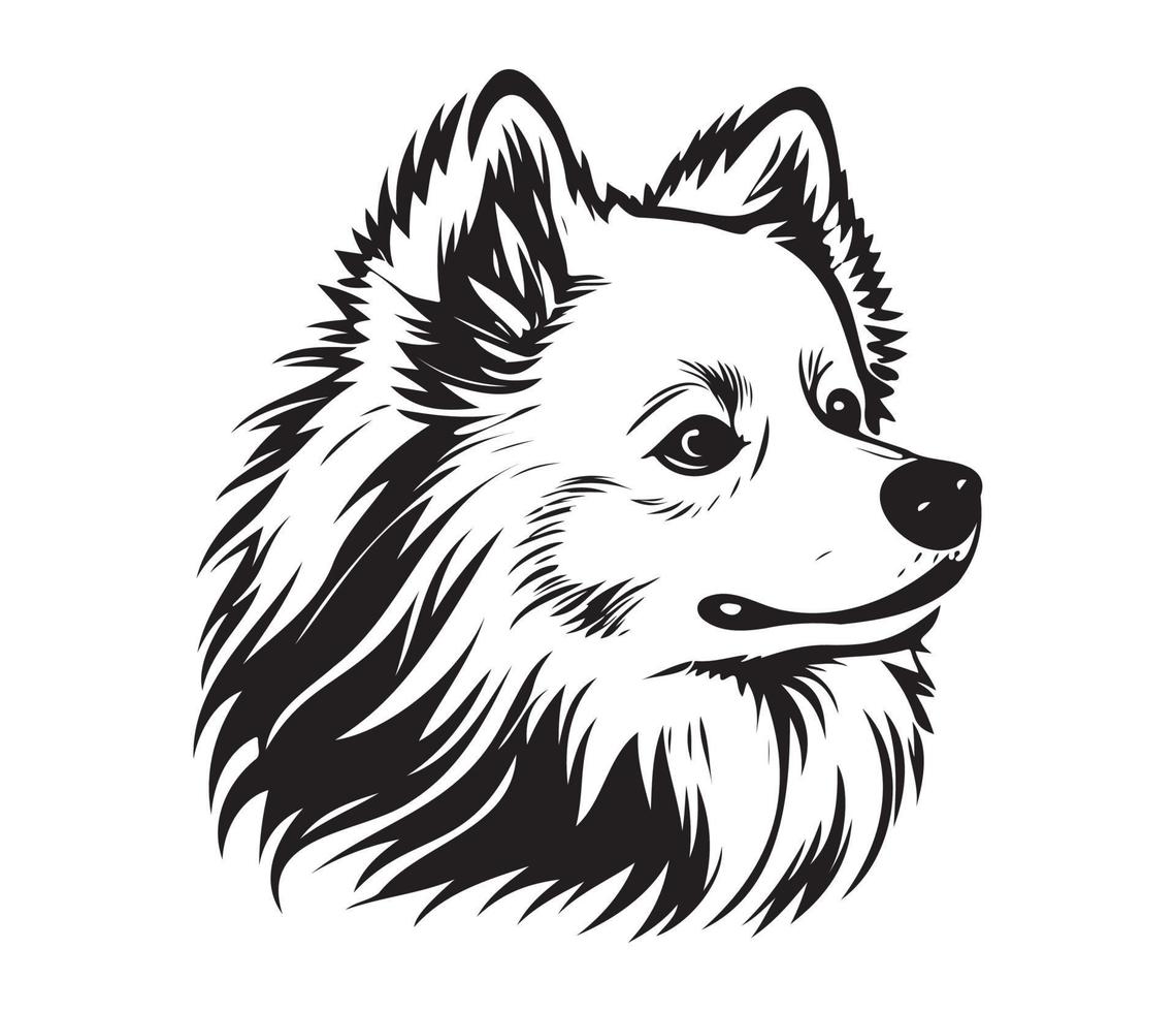 American Eskimo Dog Face, Silhouettes Dog Face, black and white American Eskimo Dog vector