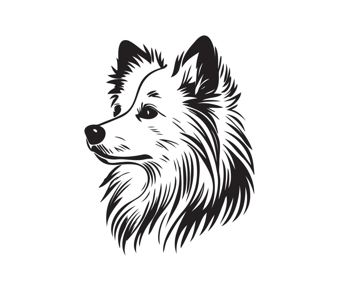 American Eskimo Dog Face, Silhouettes Dog Face, black and white American Eskimo Dog vector