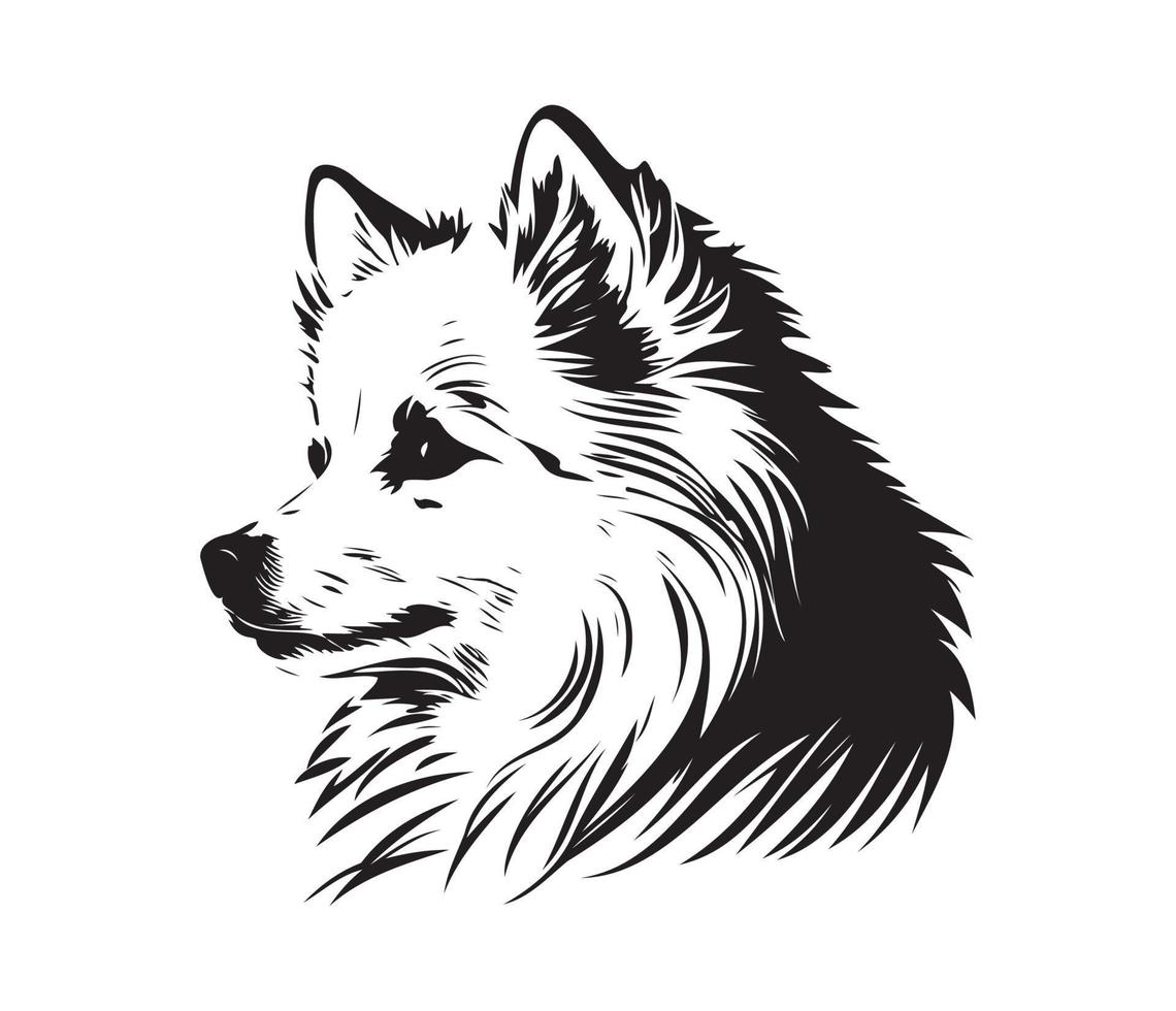 American Eskimo Dog Face, Silhouettes Dog Face, black and white American Eskimo Dog vector