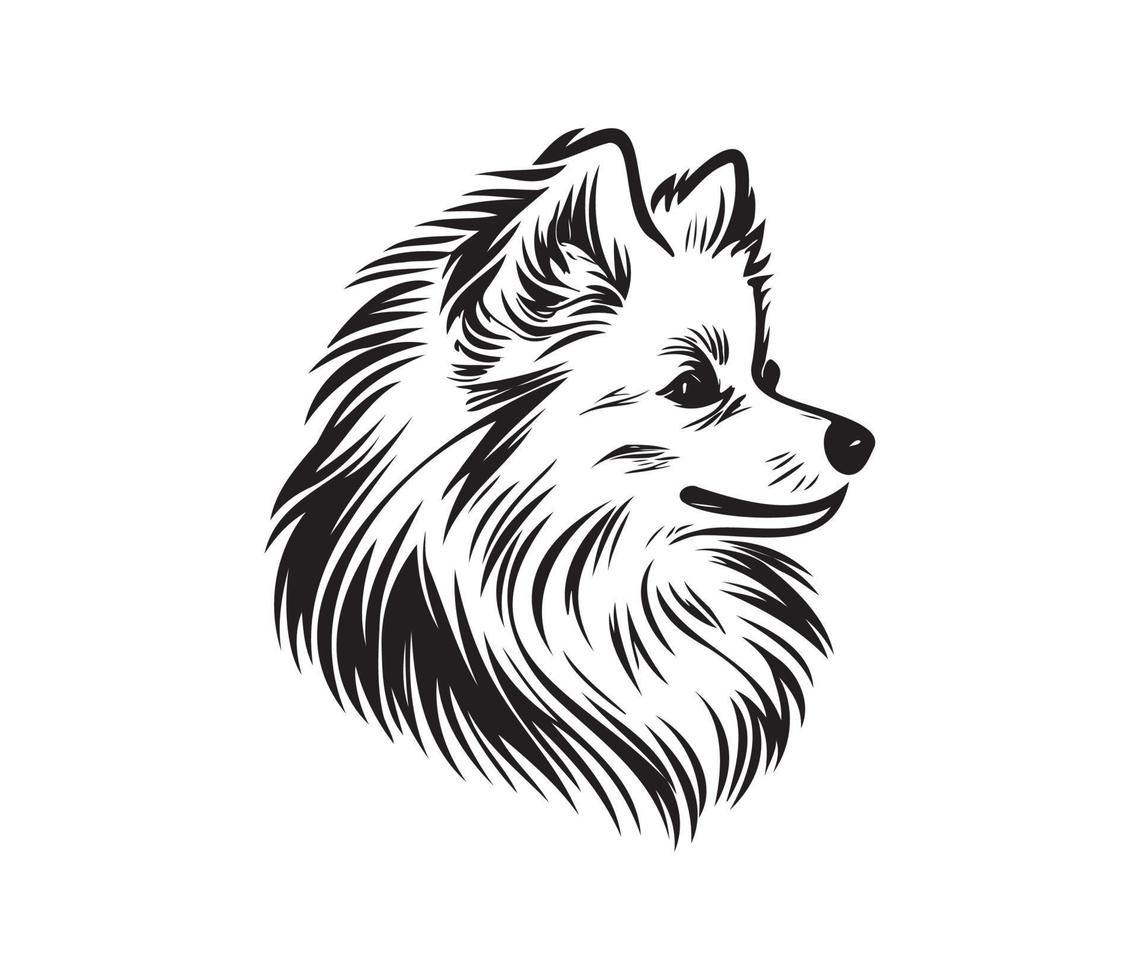 American Eskimo Dog Face, Silhouettes Dog Face, black and white American Eskimo Dog vector