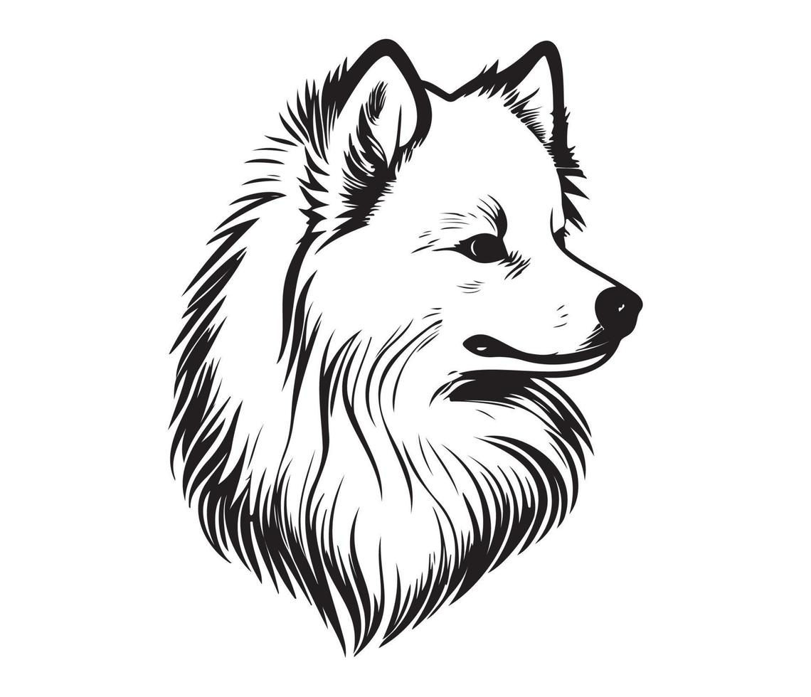 American Eskimo Dog Face, Silhouettes Dog Face, black and white American Eskimo Dog vector