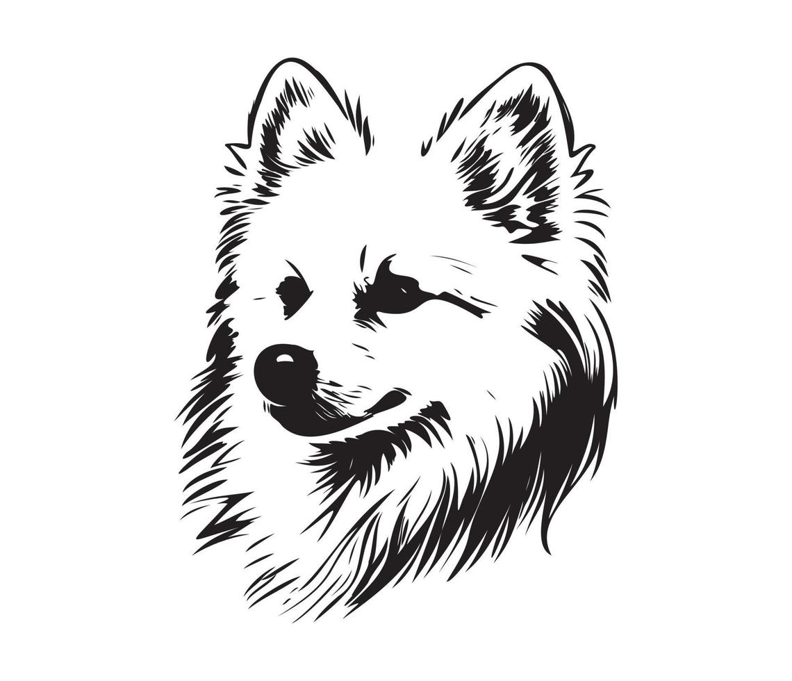 American Eskimo Dog Face, Silhouettes Dog Face, black and white American Eskimo Dog vector