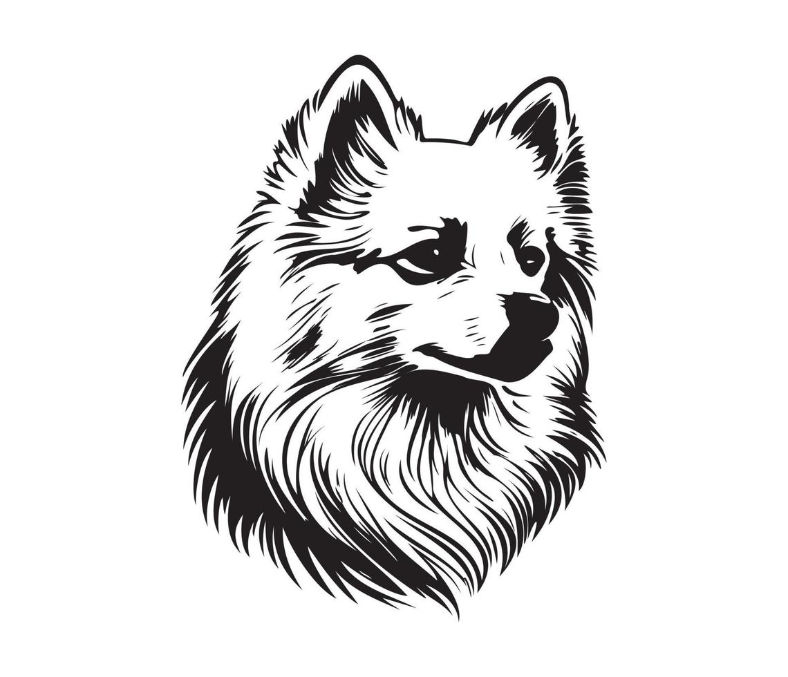 American Eskimo Dog Face, Silhouettes Dog Face, black and white American Eskimo Dog vector