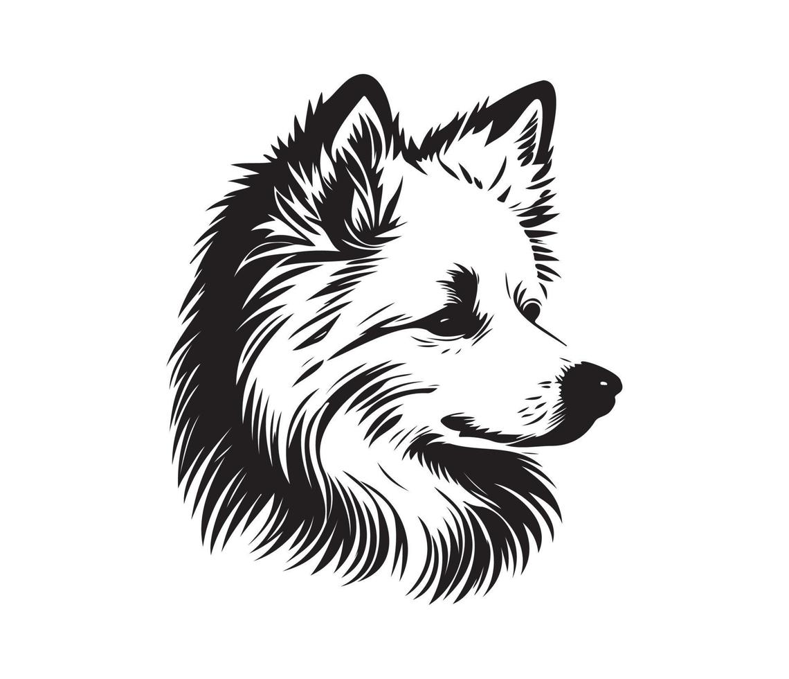 American Eskimo Dog Face, Silhouettes Dog Face, black and white American Eskimo Dog vector