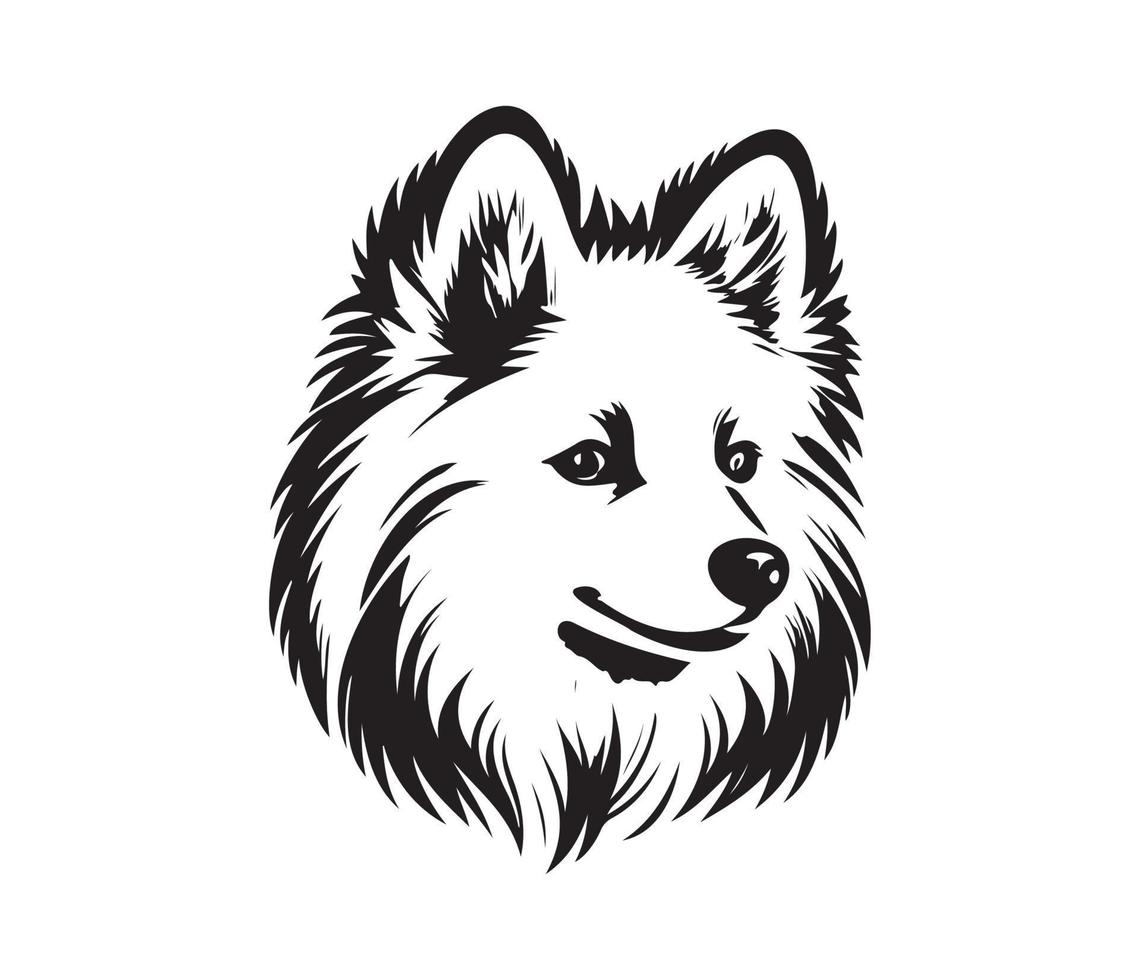 American Eskimo Dog Face, Silhouettes Dog Face, black and white American Eskimo Dog vector