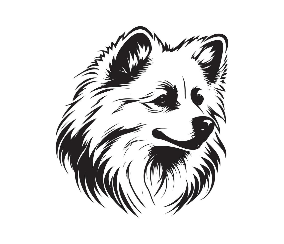 American Eskimo Dog Face, Silhouettes Dog Face, black and white American Eskimo Dog vector