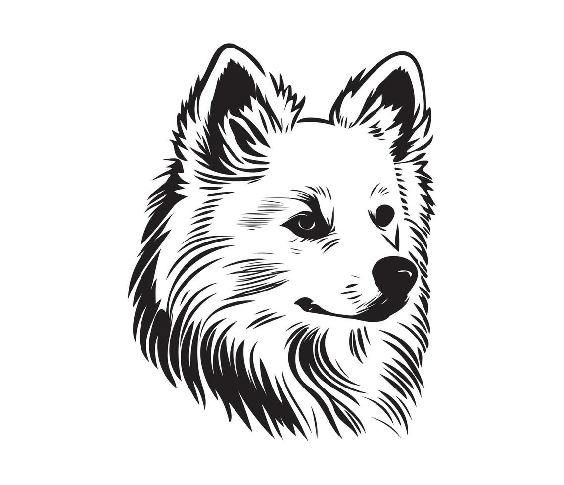 American Eskimo Dog Face, Silhouettes Dog Face, black and white American Eskimo Dog vector