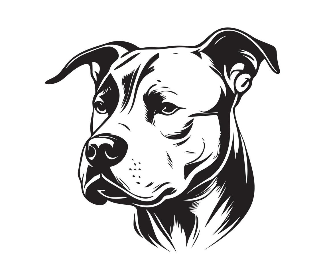 American pit bull terrier Face, Silhouettes Dog Face, black and white American pit bull terrier vector