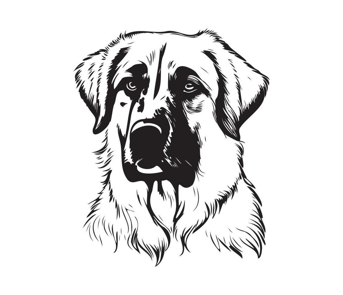 Anatolian Shepherd Face, Silhouettes Dog Face, black and white Anatolian Shepherd vector