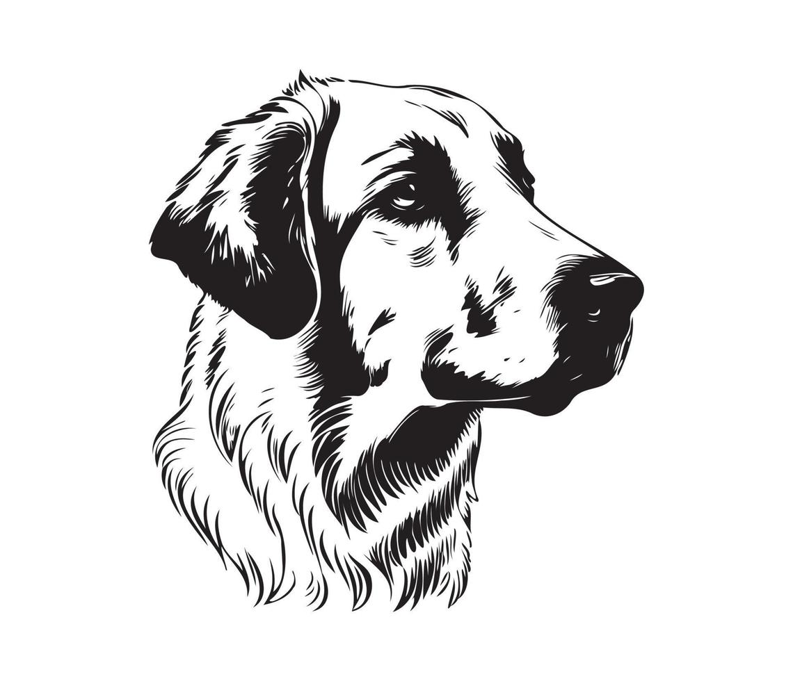 Anatolian Shepherd Face, Silhouettes Dog Face, black and white Anatolian Shepherd vector