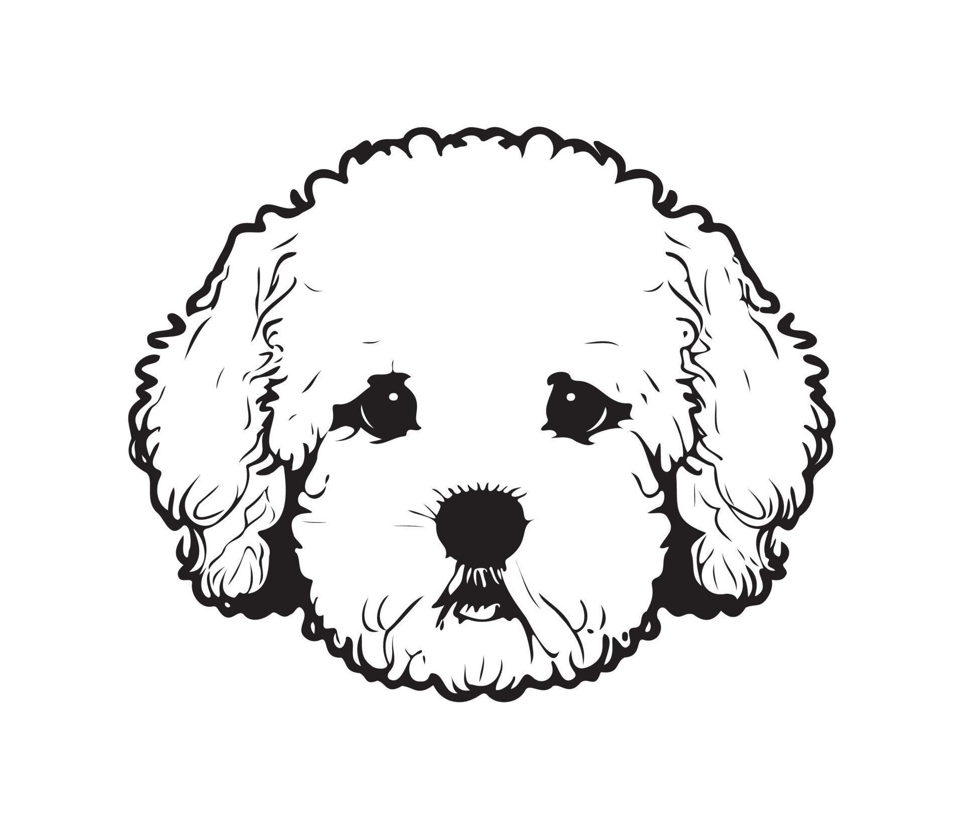 Bichon Frise Face, Silhouette Dog Face, black and white Bichon Frise