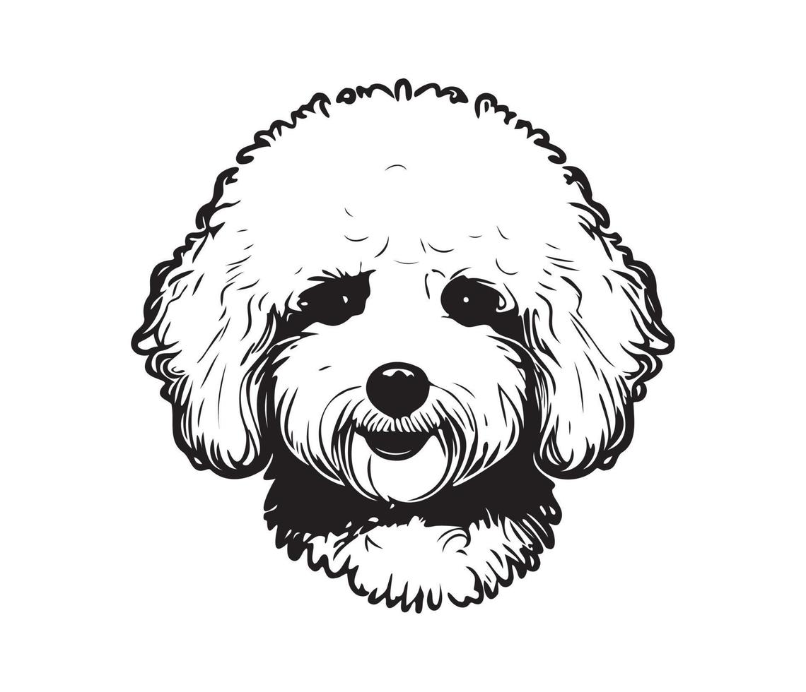 bichón frise rostro, silueta perro rostro, negro y blanco bichón frise vector