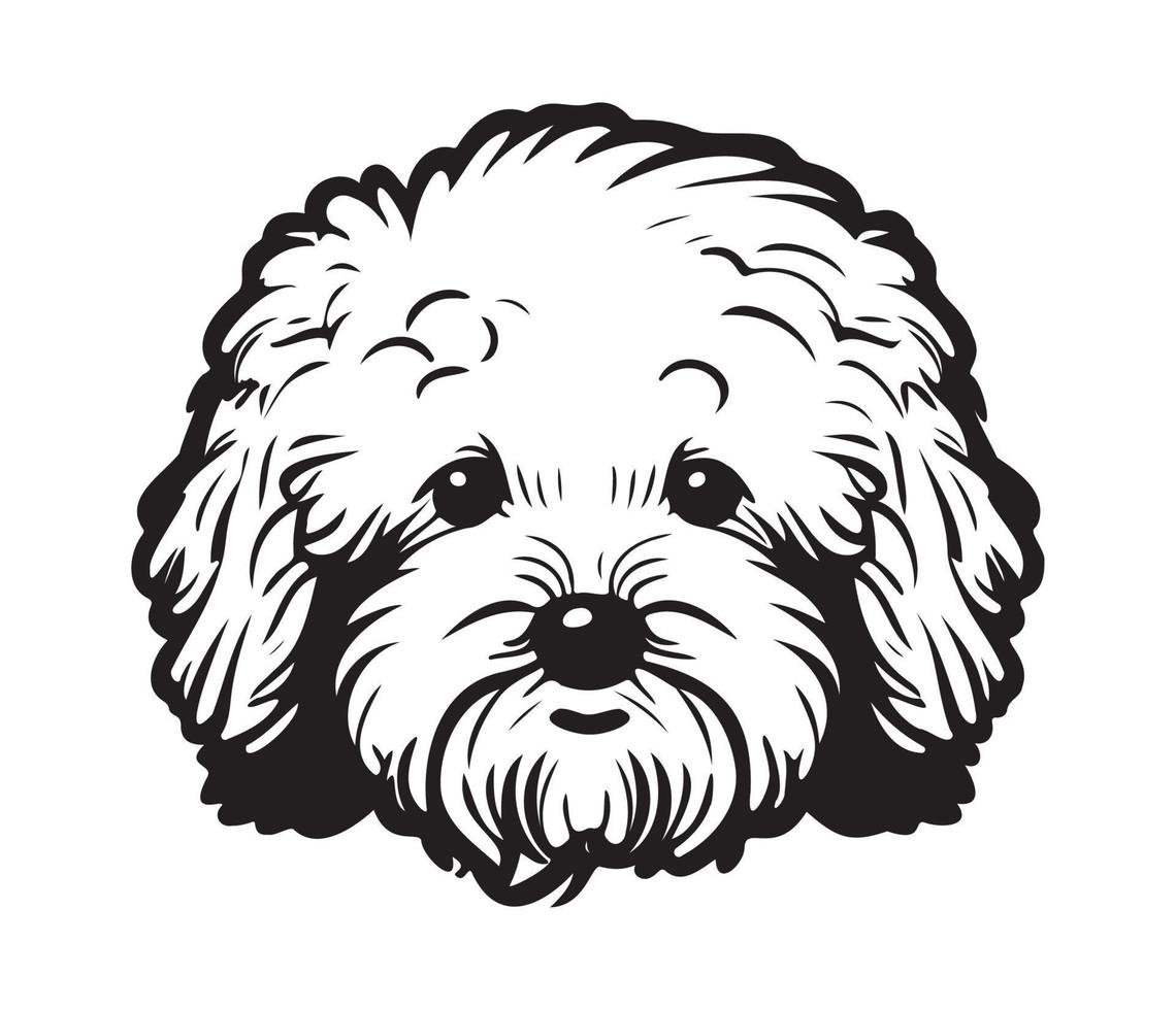 Bichon Frise Face, Silhouette Dog Face, black and white Bichon Frise vector