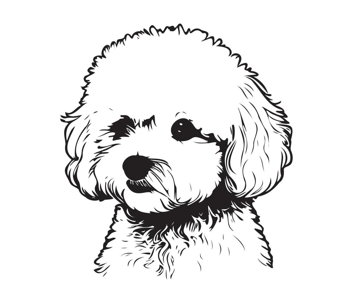 Bichon Frise Face, Silhouette Dog Face, black and white Bichon Frise vector