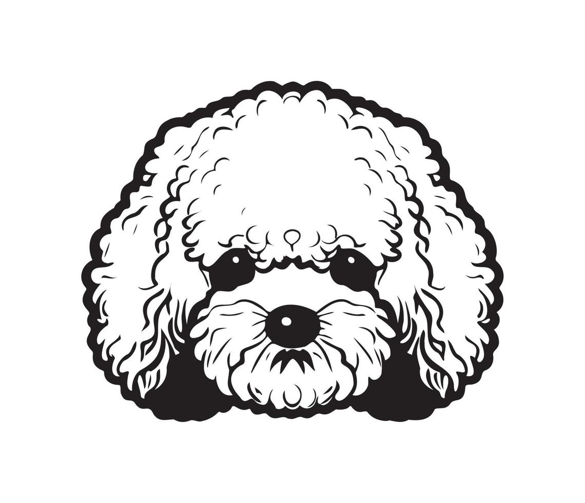 Bichon Frise Face, Silhouette Dog Face, black and white Bichon Frise vector