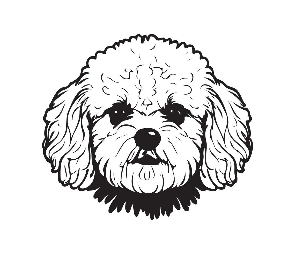 Bichon Frise Face, Silhouette Dog Face, black and white Bichon Frise vector