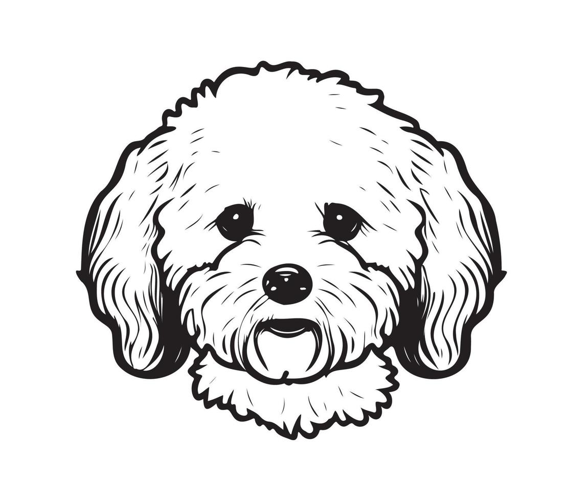 bichón frise rostro, silueta perro rostro, negro y blanco bichón frise vector