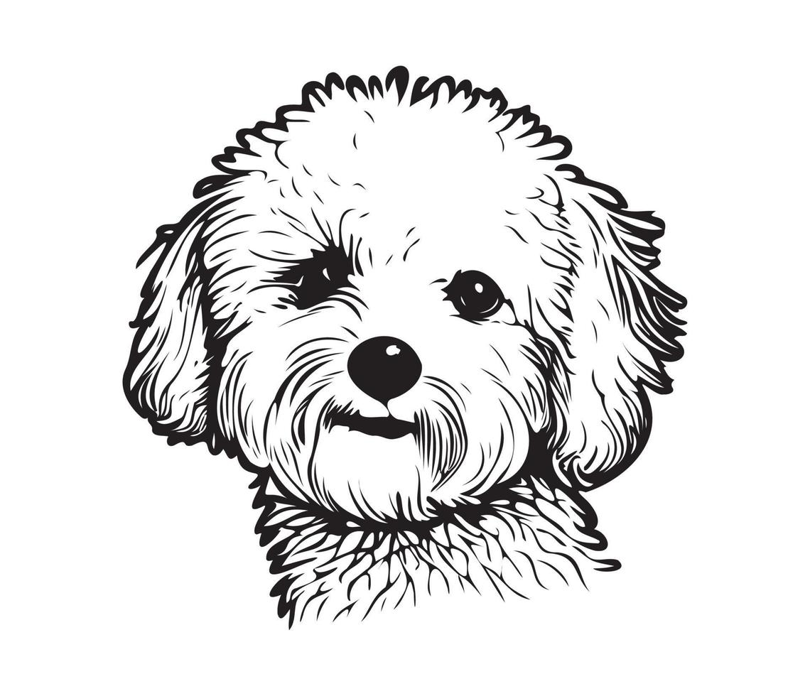 Bichon Frise Face, Silhouette Dog Face, black and white Bichon Frise vector