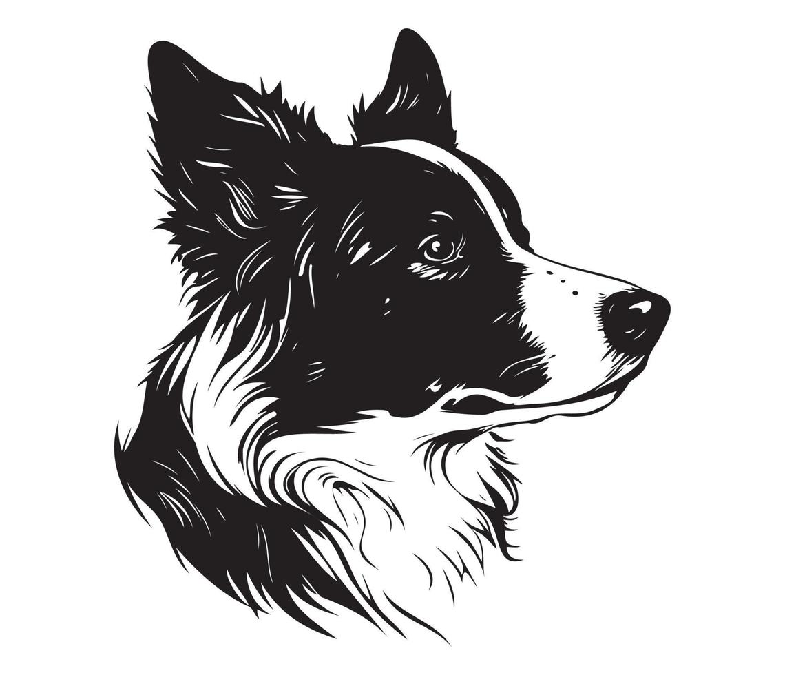 border collie Face, Silhouette Dog Face, black and white border collie vector