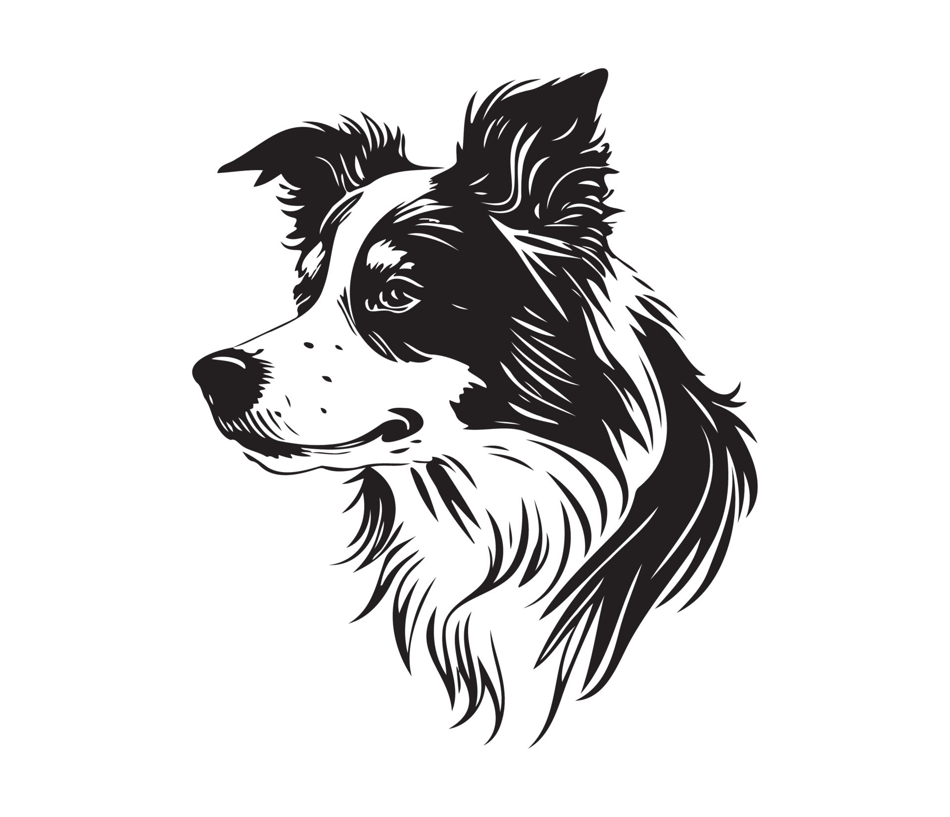 border collie Face, Silhouette Dog Face, black and white border collie