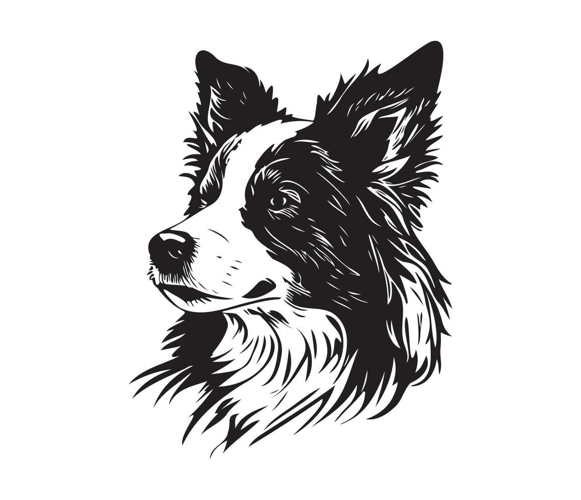 border collie Face, Silhouette Dog Face, black and white border collie vector