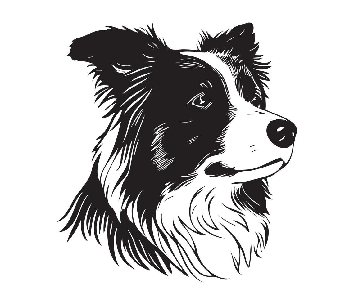border collie Face, Silhouette Dog Face, black and white border collie vector