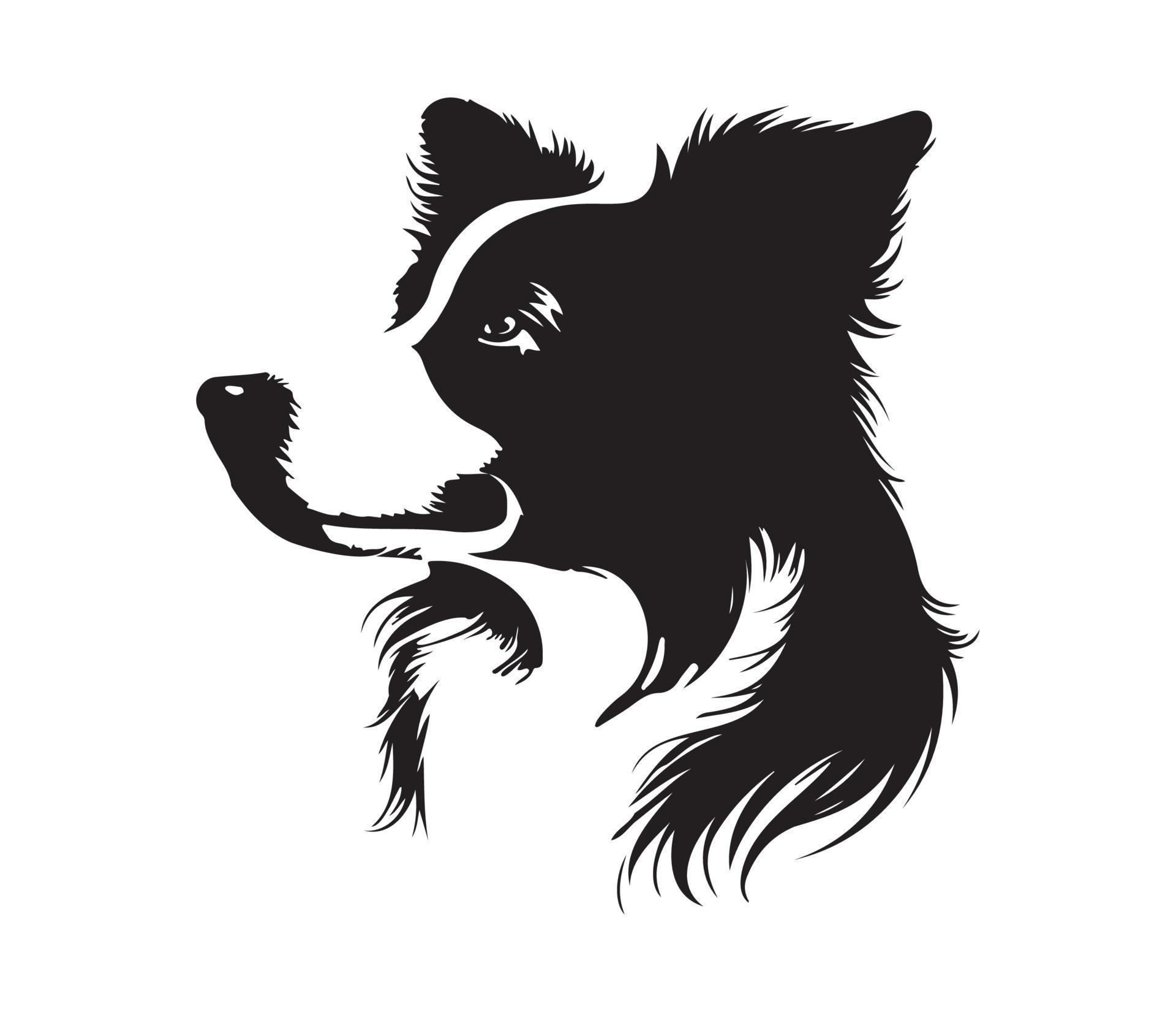 border collie Face, Silhouette Dog Face, black and white border collie