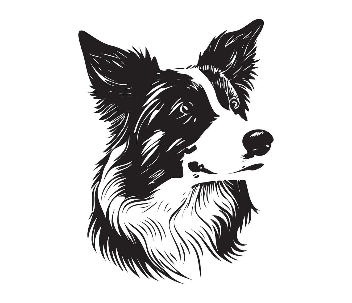 border collie Face, Silhouette Dog Face, black and white border collie vector