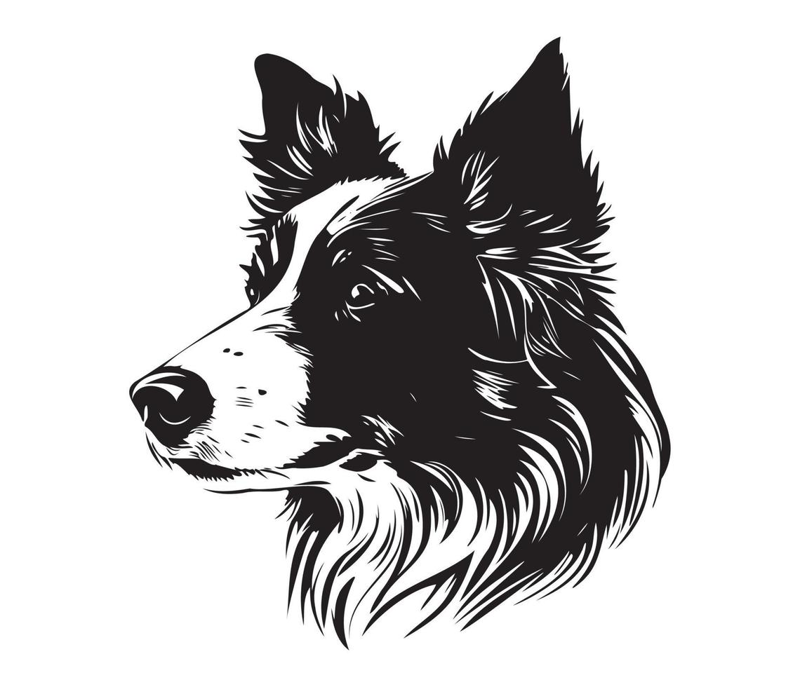 border collie Face, Silhouette Dog Face, black and white border collie vector