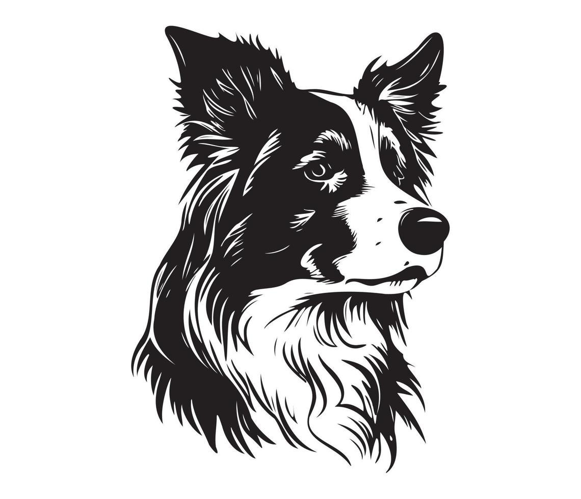 border collie Face, Silhouette Dog Face, black and white border collie vector