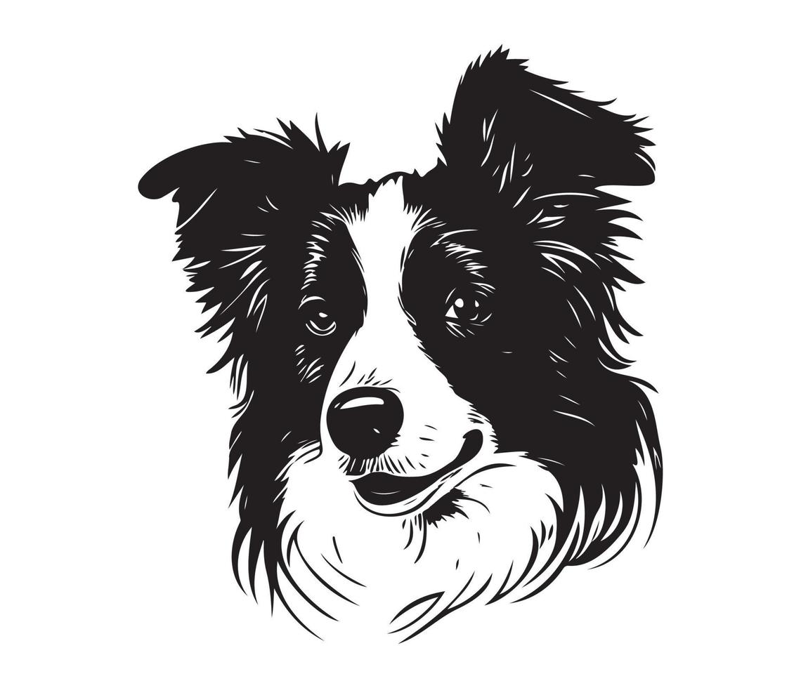 border collie Face, Silhouette Dog Face, black and white border collie vector