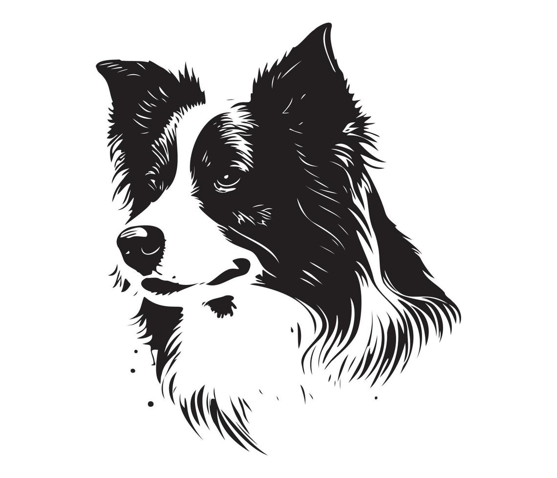 border collie Face, Silhouette Dog Face, black and white border collie vector