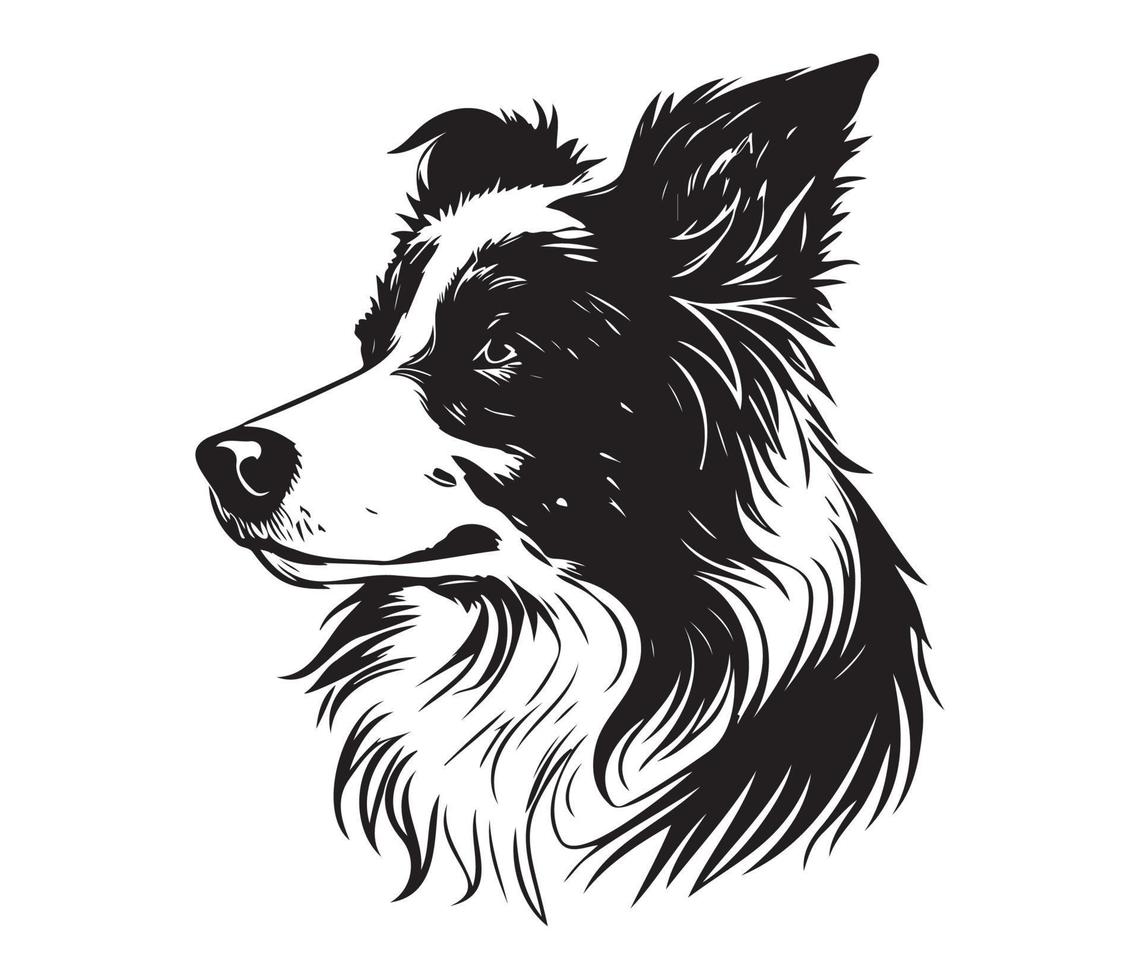 border collie Face, Silhouette Dog Face, black and white border collie vector