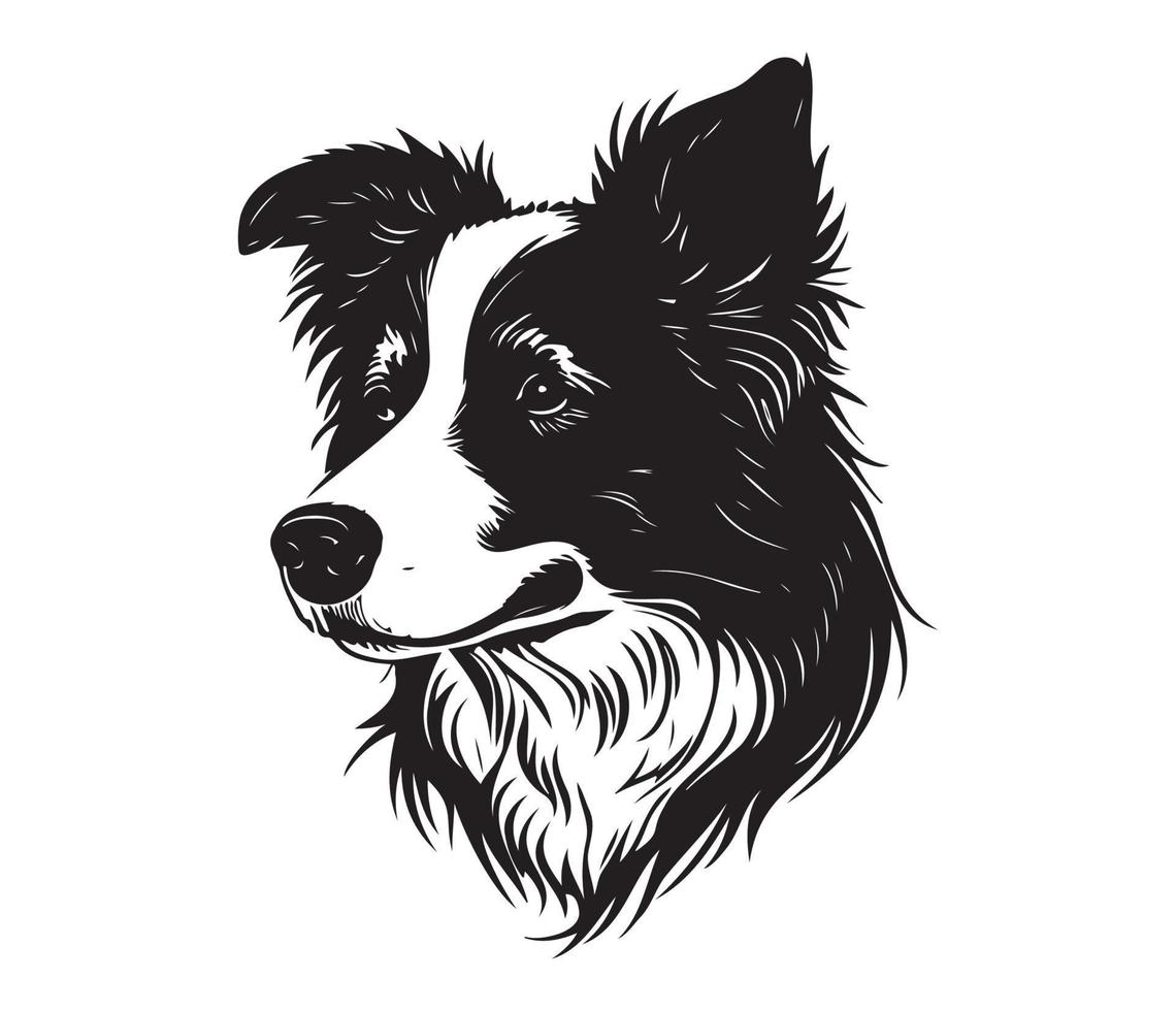 border collie Face, Silhouette Dog Face, black and white border collie vector