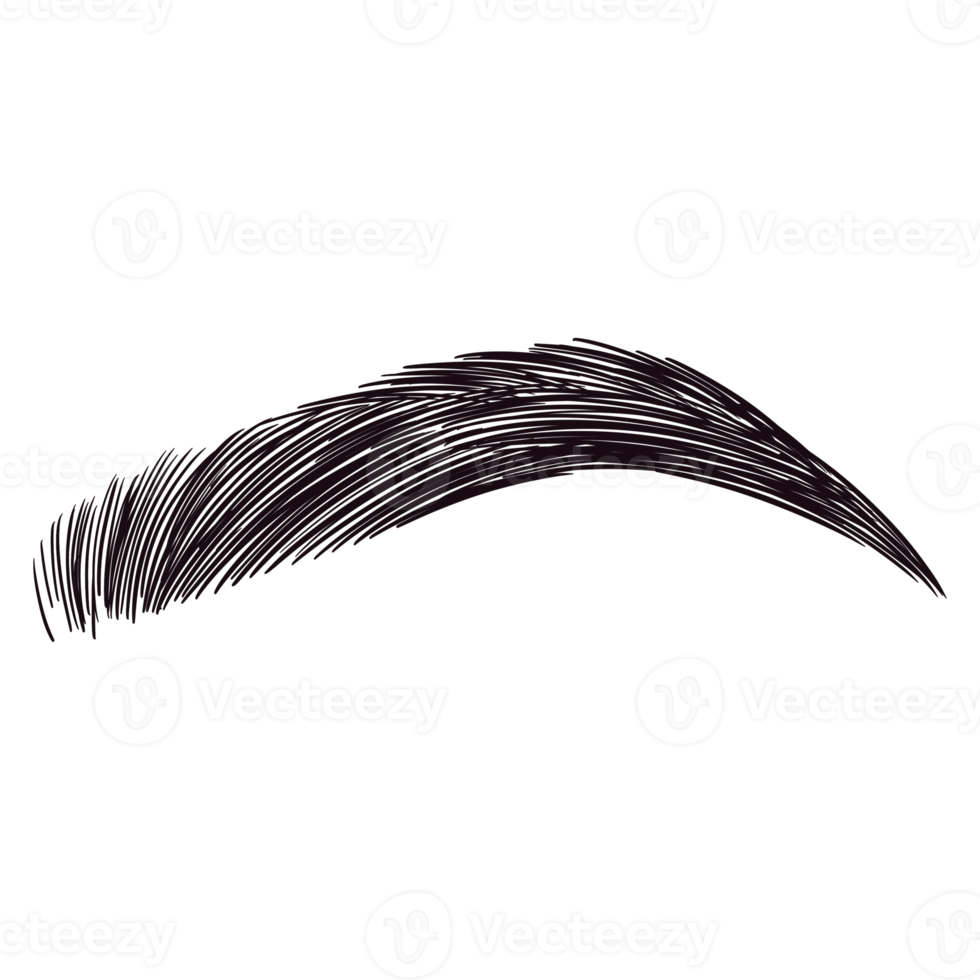 Black Eyebrow Drawing png